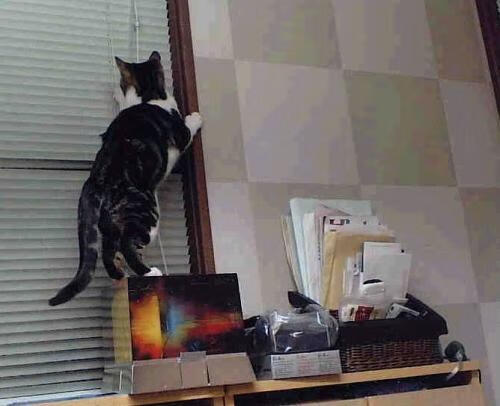 开云·Kaiyun网页版-奥预赛中国队战胜 球员表现稳定提升，奥预赛赛程