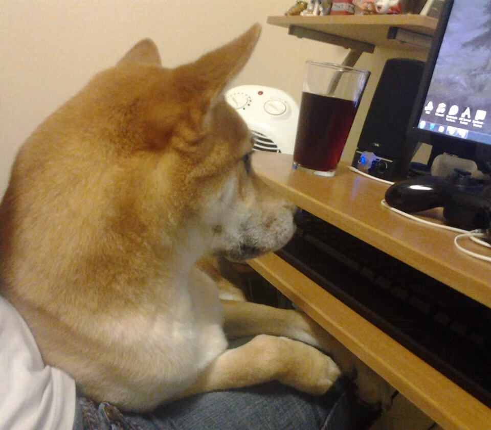 开云-新加坡队赛制深度分析：如何提升赛制执行力，攻克强敌，新加坡赛制注重什么  第2张