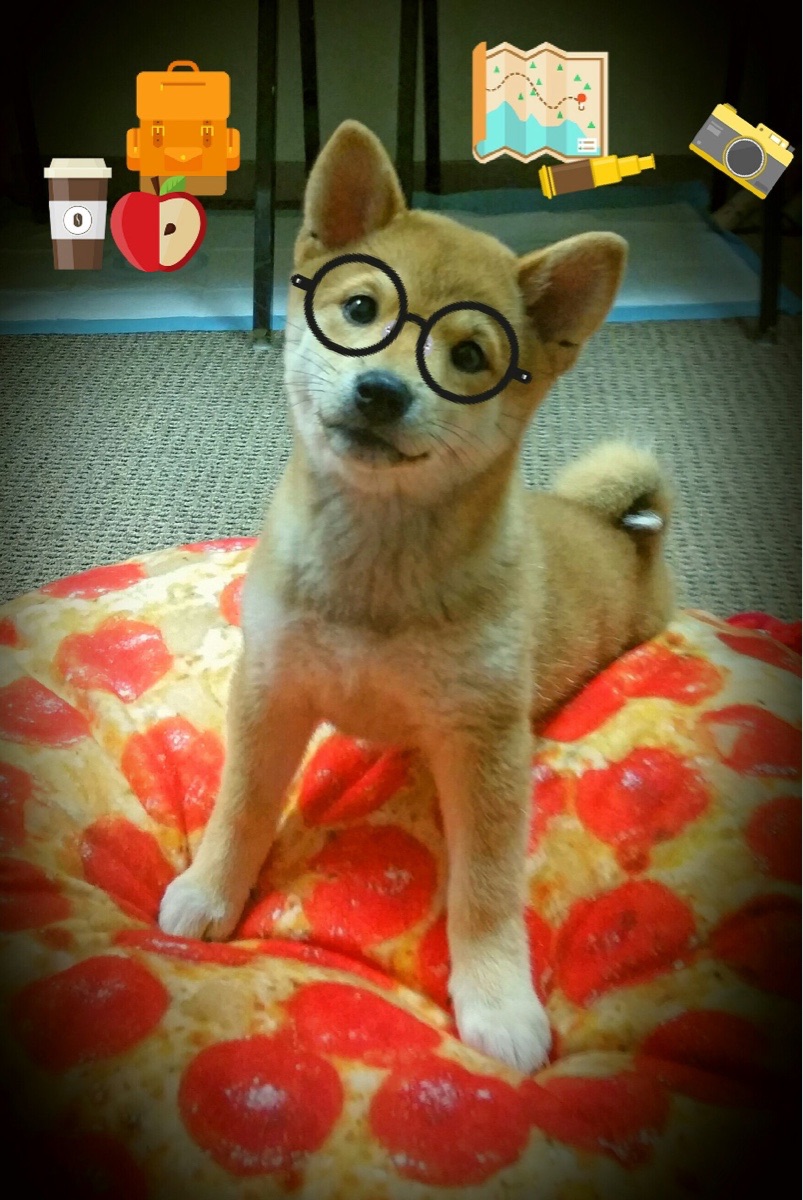 开云体育官方-节奏变化是否会显著影响球队犯规策略，节奏可以属于影响观众情绪的手段吗  第3张