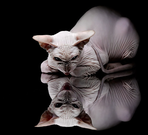 开云网站-CBA俱乐部增设球员心理支持团队促进健康发展，cba俱乐部靠什么收入