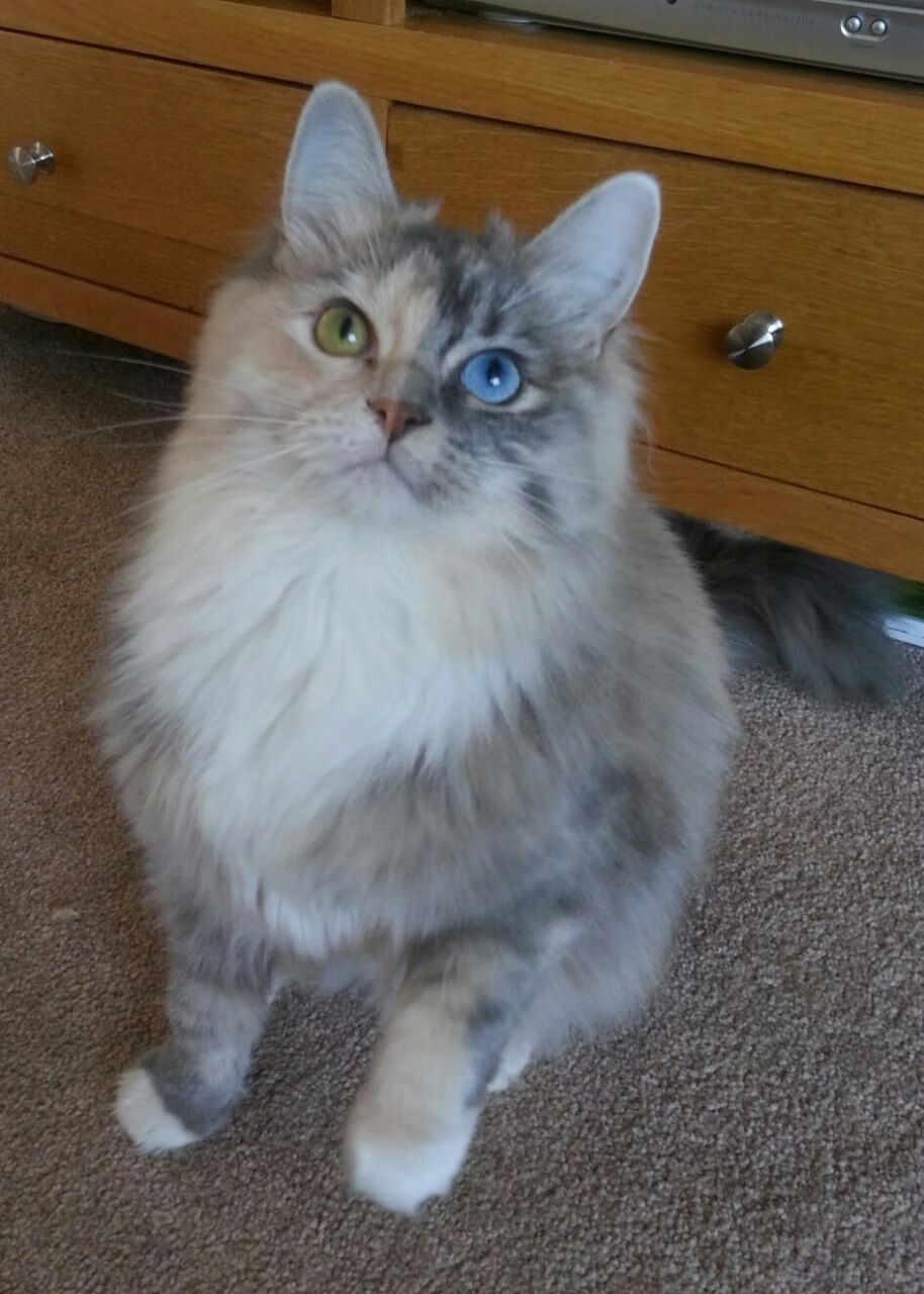 开云体育平台-世界杯四强鏖战:战术施展,精彩纷呈!,各界世界杯四强