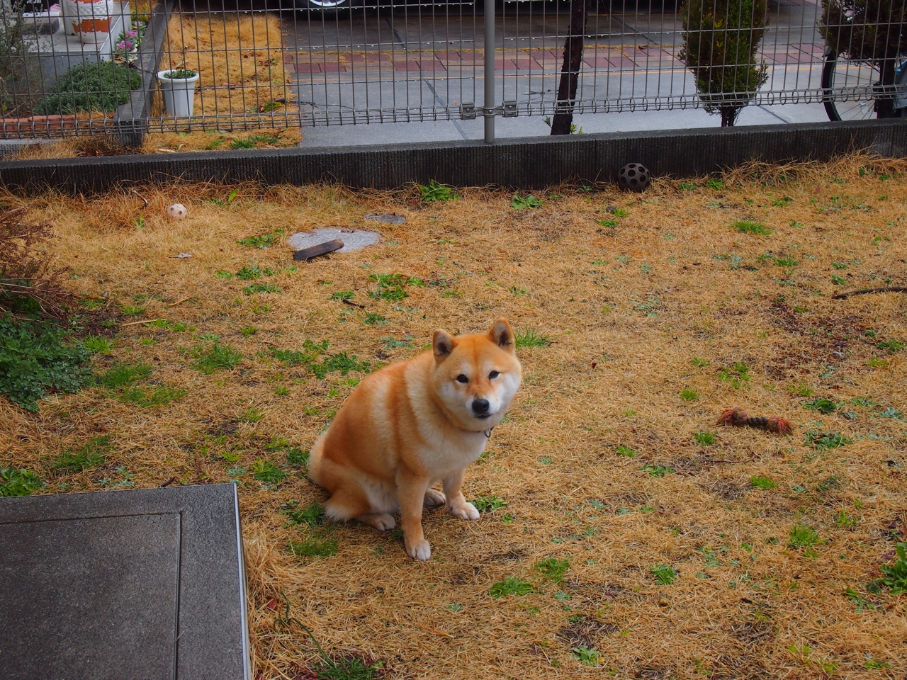 开云娱乐官网-史密斯冲刺阶段技压群雄，a 史密斯