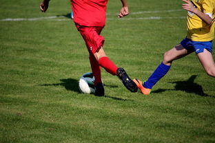 kaiyun体育app-国家体育场运营中心发布暑期开放时间公告，国家体育场百度百科