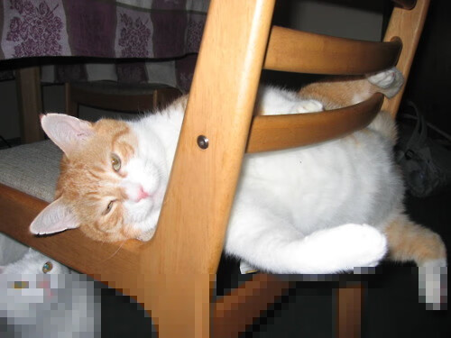 开云体育官方网站登陆-城市三对三篮球联赛年度总决赛吸引上万人现场观战，3对3篮球联赛