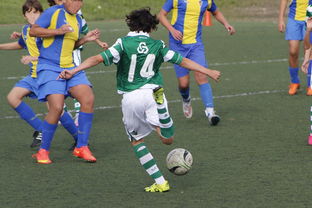 开云全站下载-女子国家队门将组强化高空球处理训练提升扑救质量，门将高空球判断落点